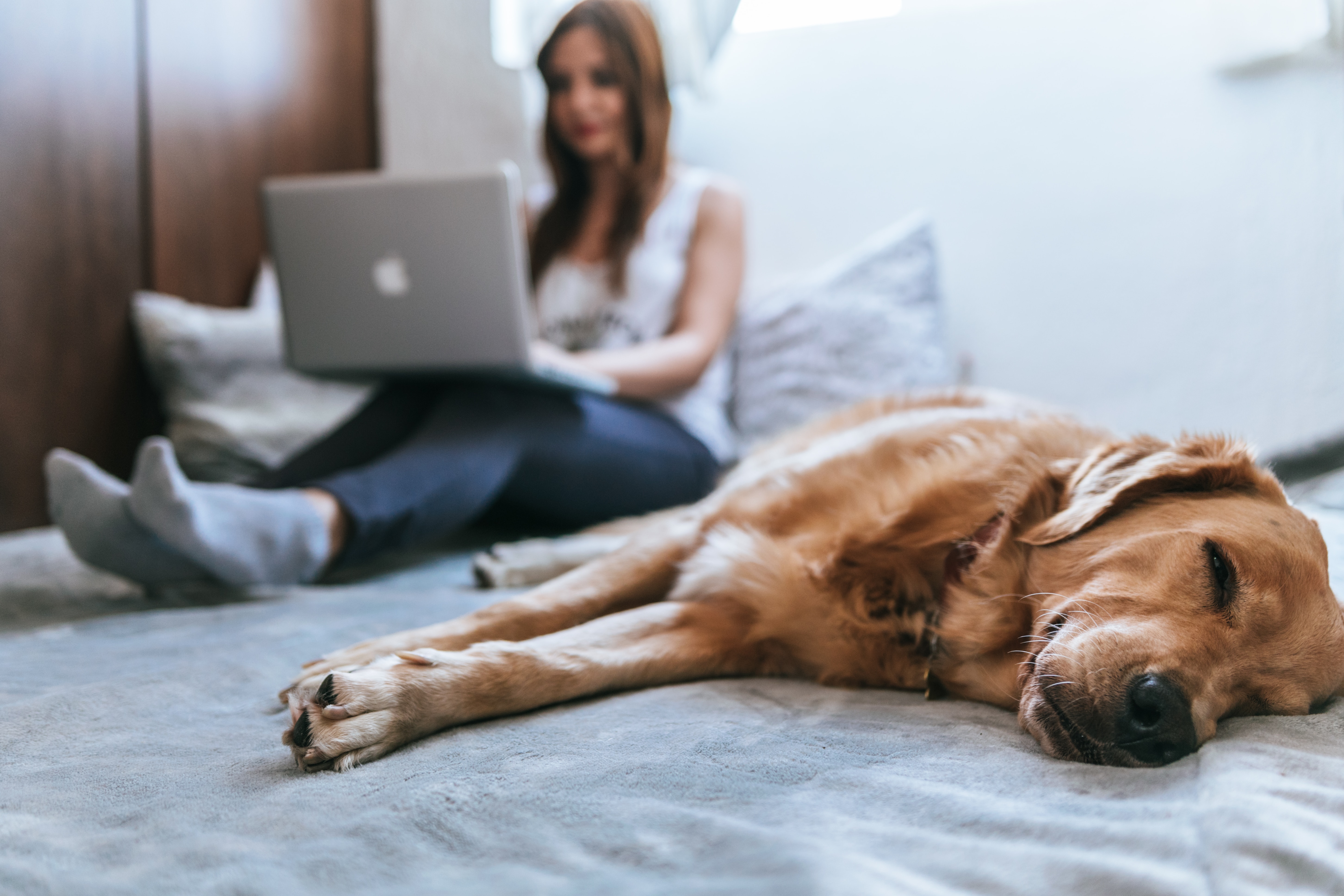 Remote Working – Effectively Managing a Team That’s Working Remotely