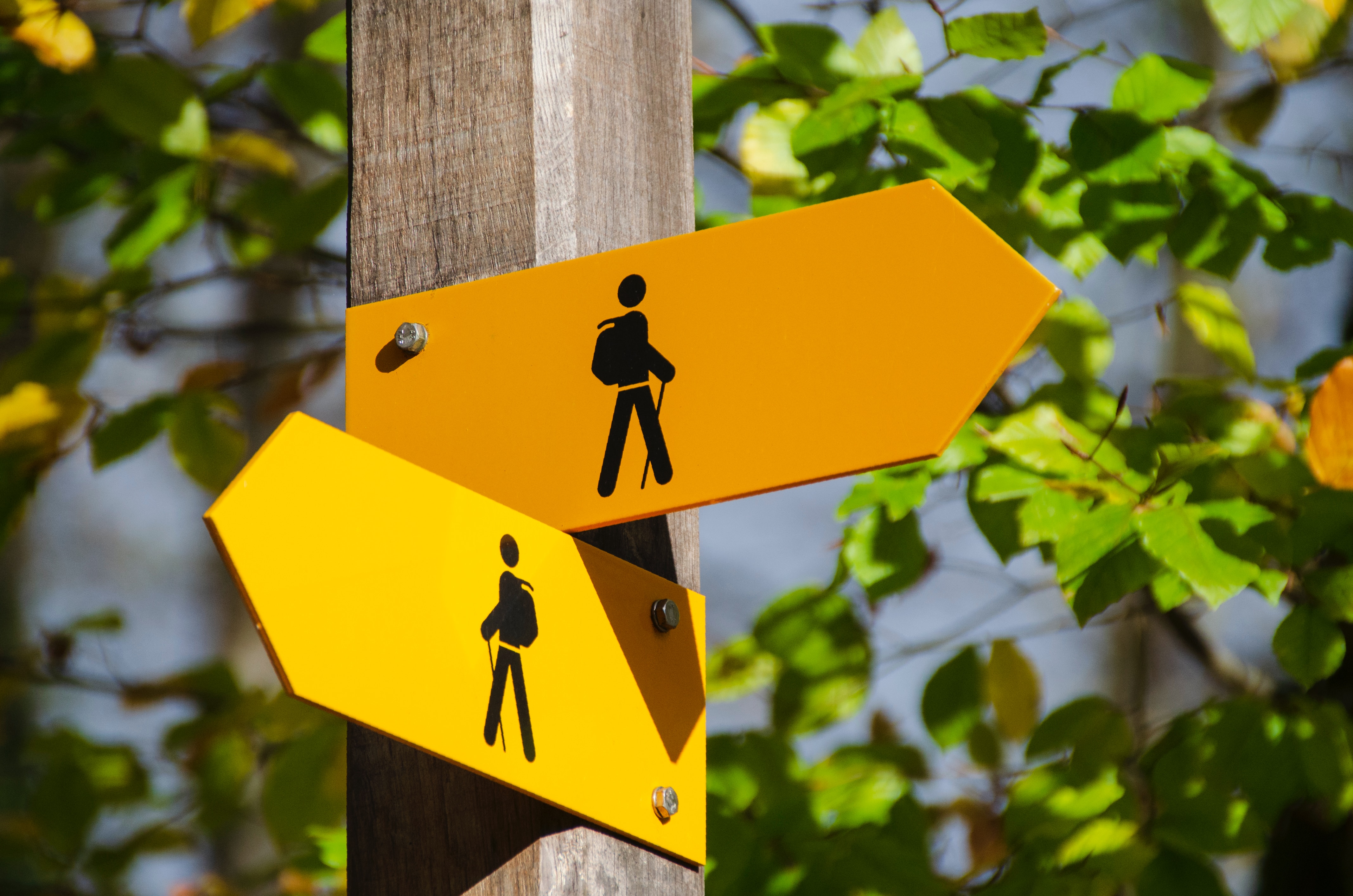 Temporary Lay-Offs due to Coronavirus